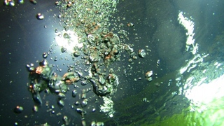 111204dry-sp448-11.jpg